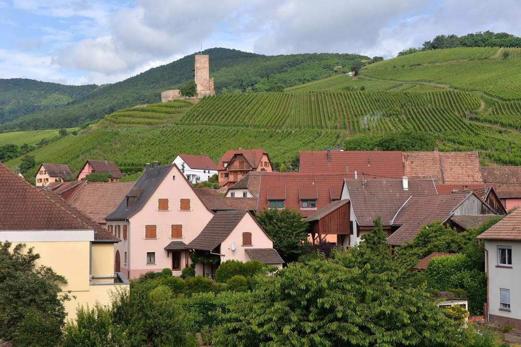 Gites Les Terrasses Du Wineck Katzenthal Ngoại thất bức ảnh